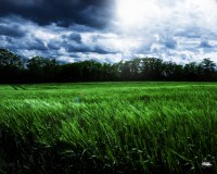 /album/fantasy-landscape/wiese-original-grun-blau-jpg/